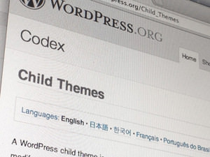 WordPress Theme Development