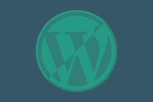 Custom WordPress Theme